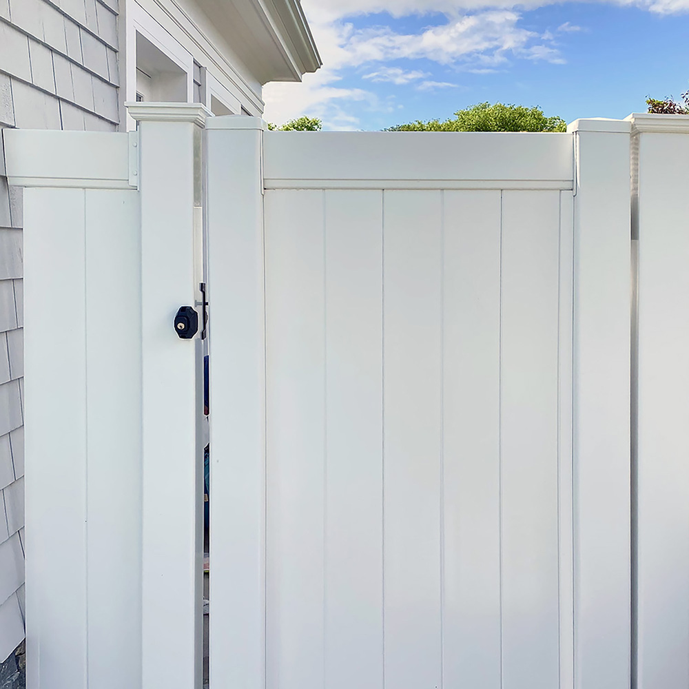 Image: No description