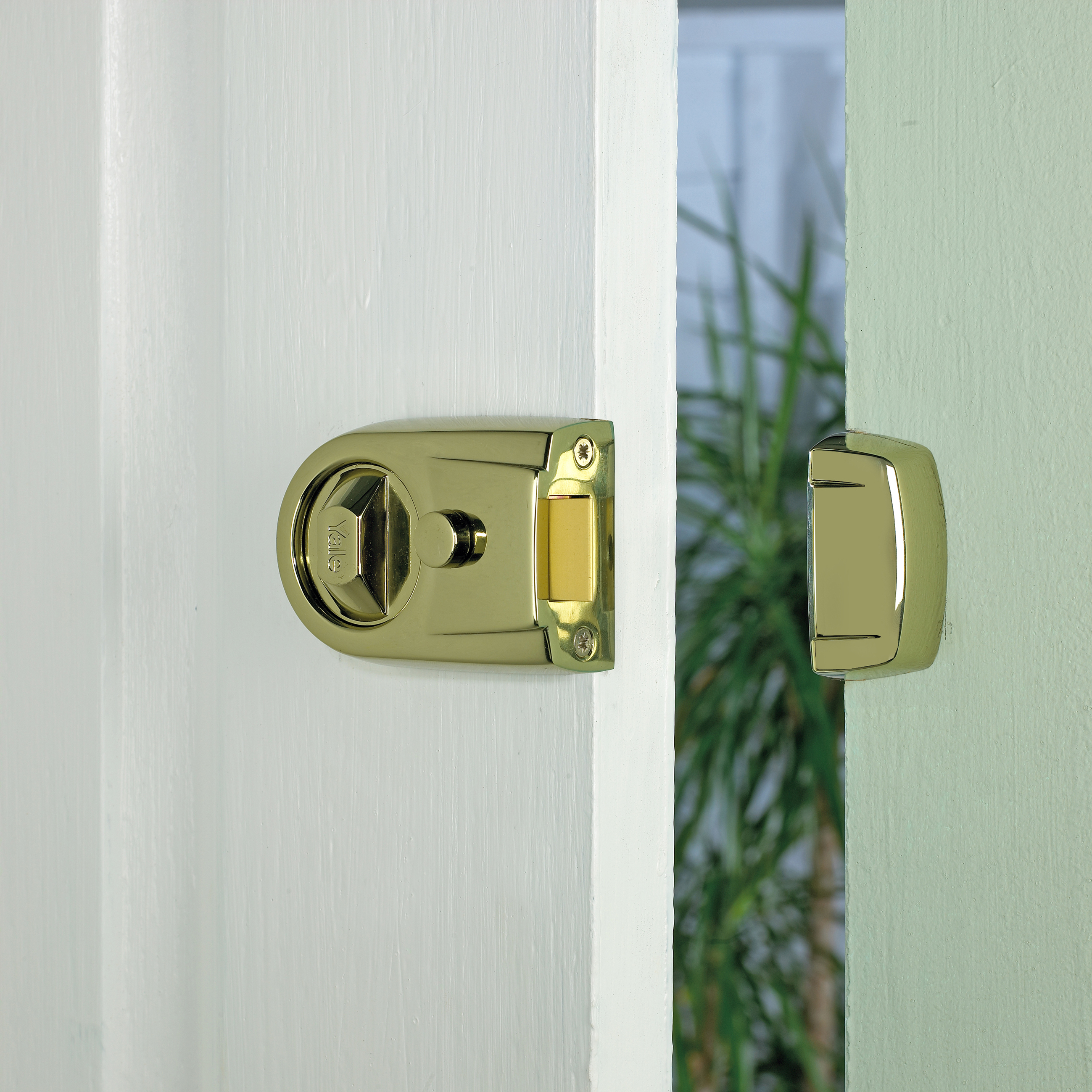 Image: No description