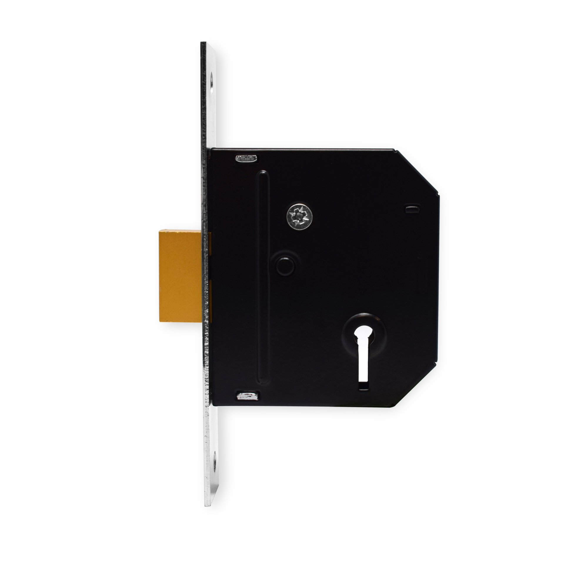 Image: No description